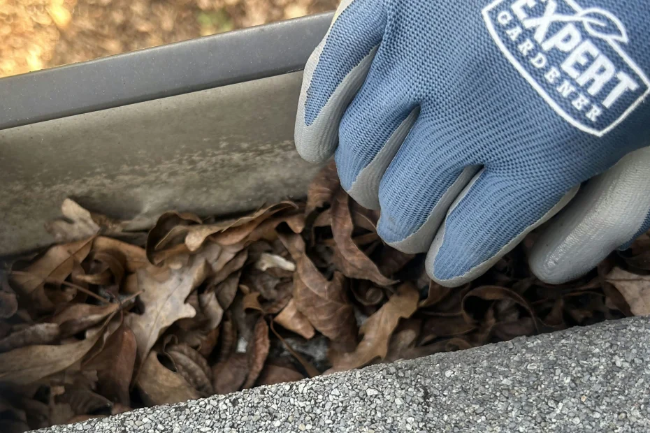 Gutter Cleaning Myrtle Beach