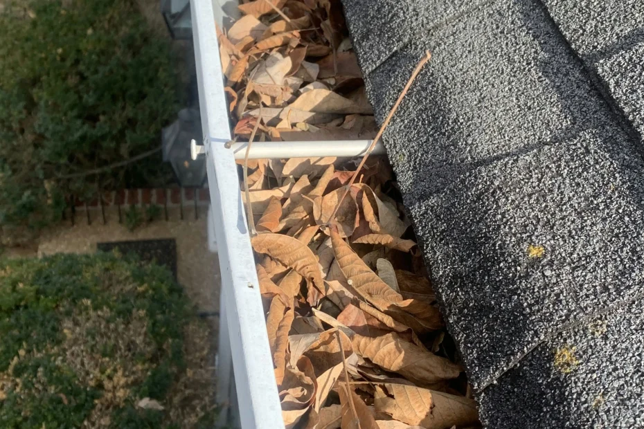 Gutter Cleaning Myrtle Beach